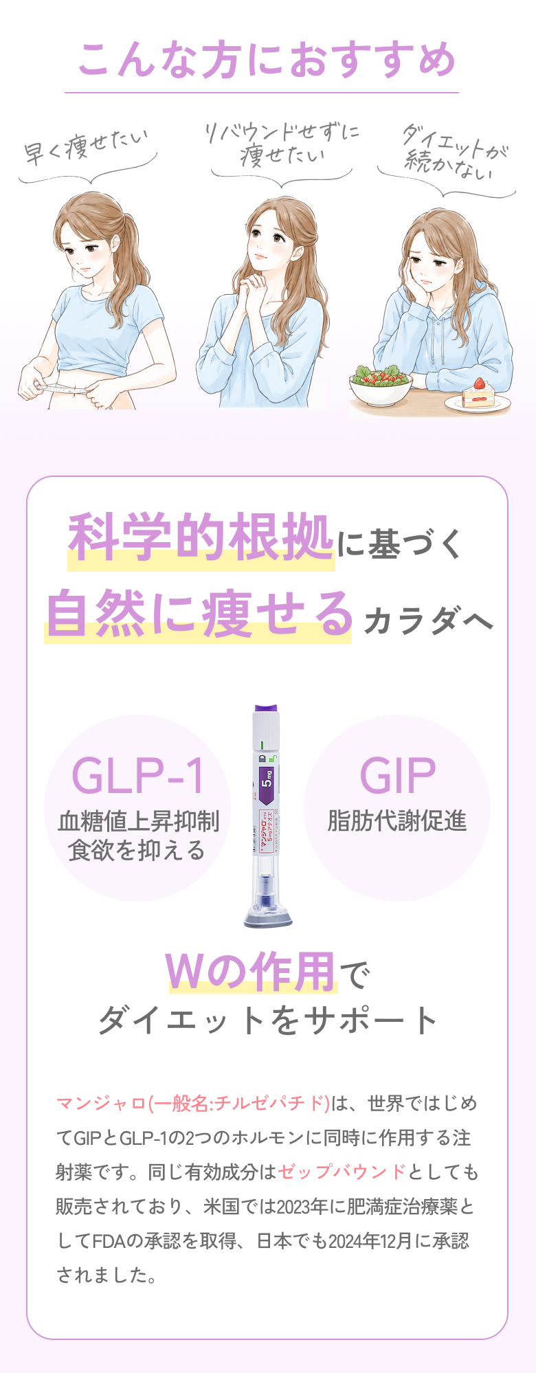 導入