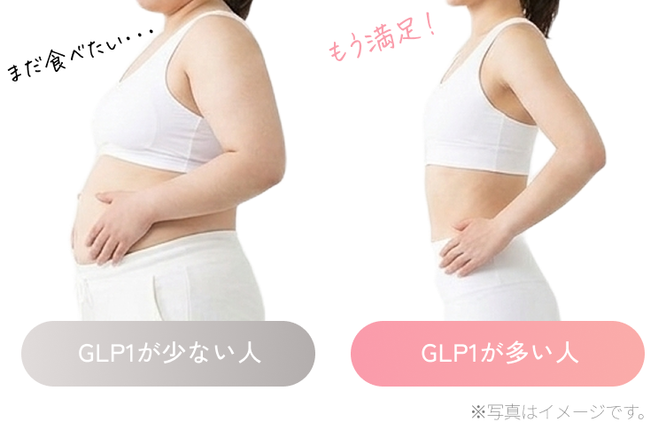 GLP1が少ない人とGLP1が多い人