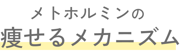痩せるメカニズム