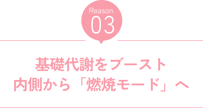 Reason03 基礎代謝をブースト 内側から「燃焼モード」へ