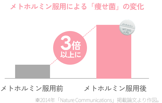 「痩せ菌」の変化