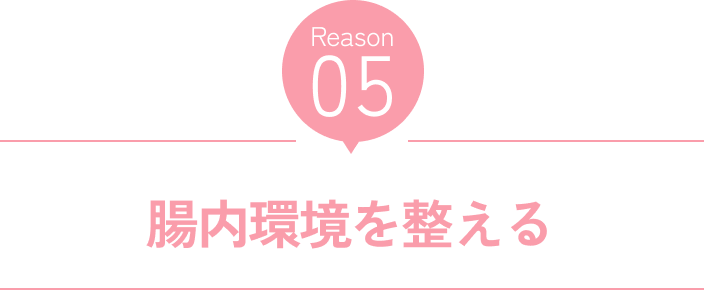 Reason05 腸内環境を整える