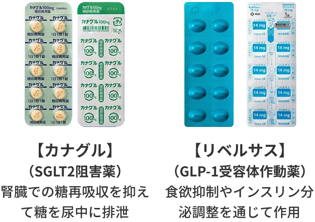 【SGLT2阻害薬②】（SGLT2阻害薬）腎臓での糖再吸収を抑えて糖を尿中に排泄 【GLP-1受容体作動薬】（GLP-1受容体作動薬）食欲抑制やインスリン分泌調整を通じて作用