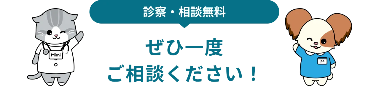 ぜひ一度ご相談ください