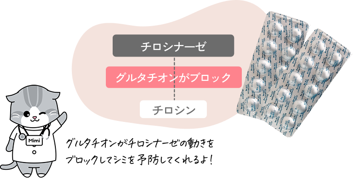 グルタチオンがチロシナーゼの動きをブロックしてシミを予防してくれるよ！