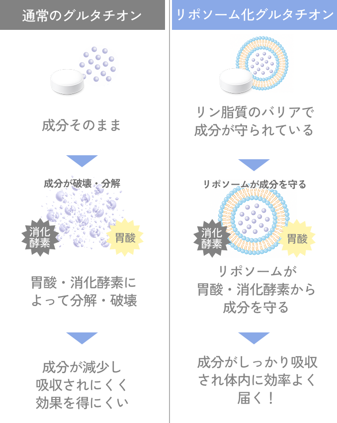 通常のグルタチオンとリポソーム化グルタチオン