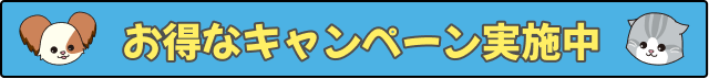 お得なキャンペーン実施中
