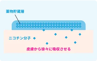 ニコチネルTTSの作用図