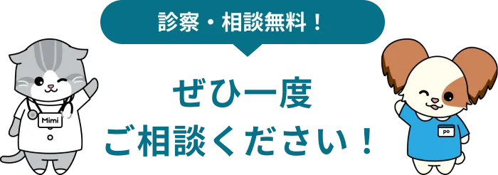 ぜひ一度ご相談ください